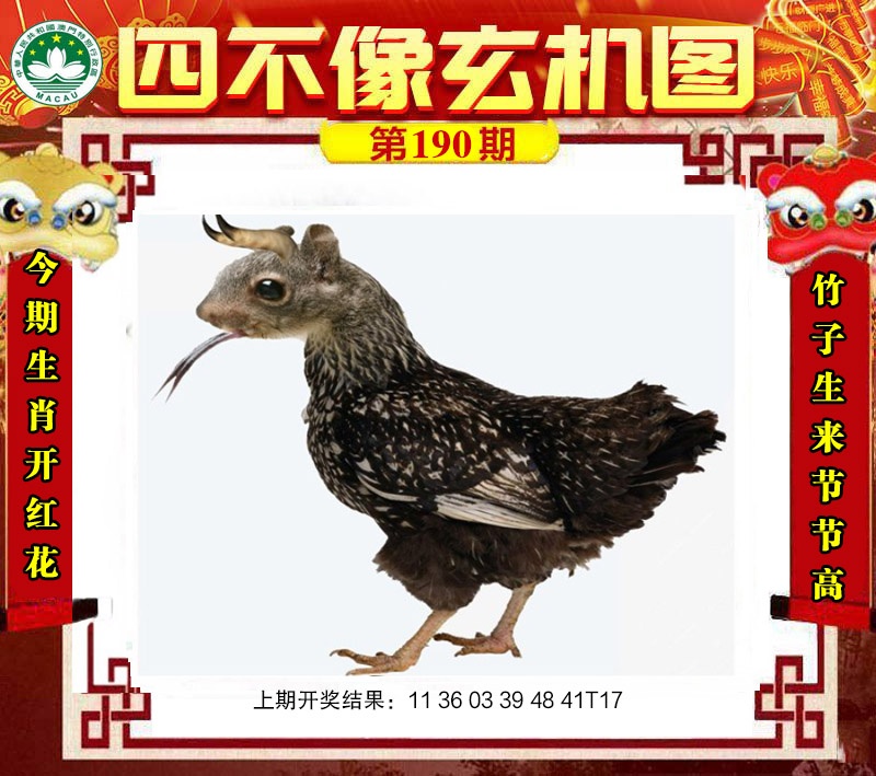 澳门挂牌