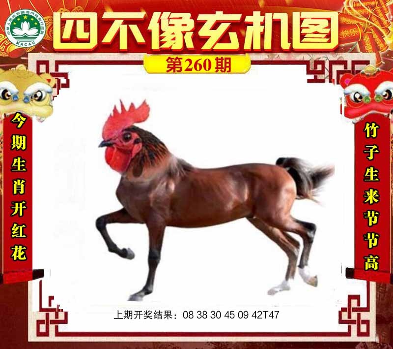 澳门挂牌